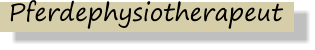 Pferdephysiotherapeut