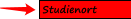 Studienort