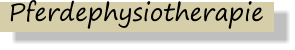 Pferdephysiotherapie