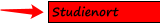 Studienort