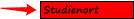 Studienort