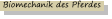 Biomechanik des Pferdes