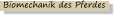 Biomechanik des Pferdes