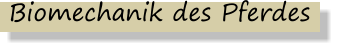 Biomechanik des Pferdes