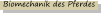 Biomechanik des Pferdes
