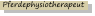 Pferdephysiotherapeut