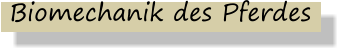 Biomechanik des Pferdes