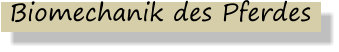 Biomechanik des Pferdes