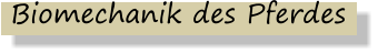 Biomechanik des Pferdes